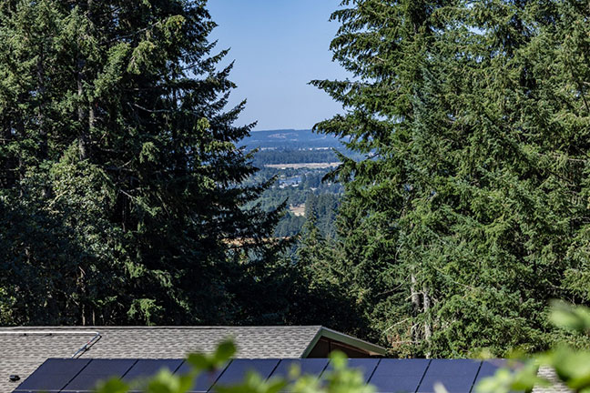 The roofs of two mobile homes with evergreen trees in the background